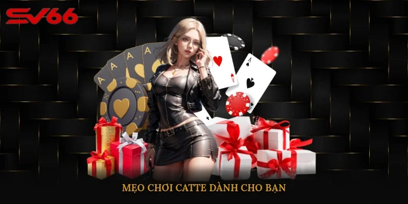 Mẹo chơi Catte dành cho bạn 